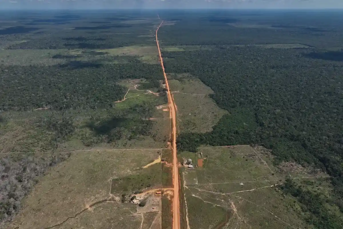 BRASIL MEDIDAS CONTRA LA DEFORESTACION convertido de avif 11zon
