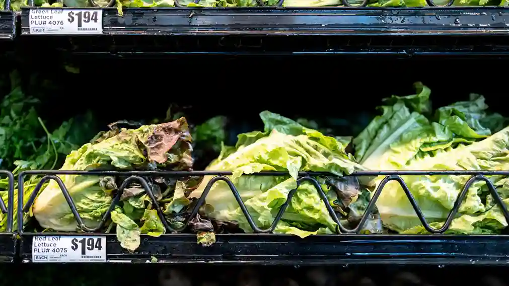 Se puede comer lechuga sin peligro durante el brote de ciclosporiasis
