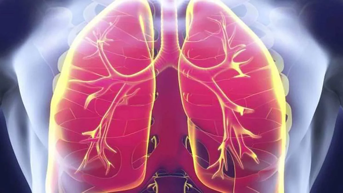 Problemas pulmonares comunes hoy en día síntomas causas y cuándo buscar ayuda