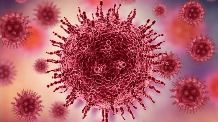 Un sorprendente culpable está relacionado con 1 de cada 8 casos de cáncer en todo el mundo según revela un importante estudio