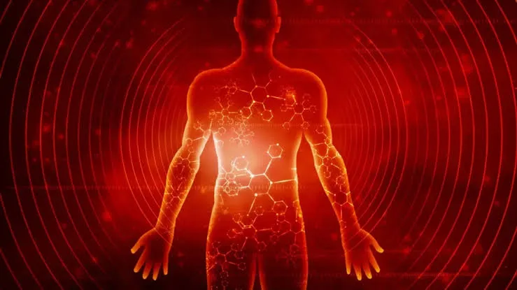 Los científicos revelan qué efectos tiene siete días de ayuno en el cuerpo humano