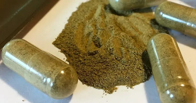Michigan sopesa la prohibición del kratom ante el aumento de casos