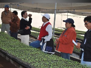 iteagricultores